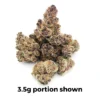 695fbe725f5b01019a1d7068_Tropicana-Cherry-ALT Tropicana Cherry | Mini-Buds | 1/2 oz.